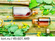 Healing tincture of celandine in a bottle.Alternative medicine.Medicinal plant celandine.. Medicinal tincture of celandine,herbal medicine. Стоковое фото, агентство Ingram Publishing / Фотобанк Лори