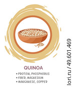 Quinoa vegan protein food in brown circle. Pile of mixed raw quinoa, grain in bowl, source of protein, phosphorus, fiber, magnesium, copper. Superfood, healthy organic food. Gluten free grain image. Quinoa grains in bowl, useful products when breastfeeding child. Flat vector logo image on white. Стоковая иллюстрация, агентство Ingram Publishing / Фотобанк Лори