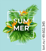 Summer tropical background with Strelitzia flowers and tropical leaves. The inscription Summer on a background of tropical green leaves. Vector illustration EPS10. Summer tropical background with Strelitzia flowers and tropical leaves. The inscription Summer on a background of tropical green leaves. Vector illustration. Стоковая иллюстрация, агентство Ingram Publishing / Фотобанк Лори