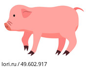 Cartoon cute pig isolated on white background. Little piglet with funny face vector illustration. Domestic, farm agricultural animal. Pink piggy, animal likes to dig in the ground and lie in the mud. Cartoon cute pig isolated on white background. Little piglet with funny face vector illustration. Стоковая иллюстрация, агентство Ingram Publishing / Фотобанк Лори
