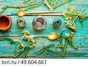 Jar of yarrow tincture on wooden table.Medicine made from healing herbs.Herbalism and homeopathic. Yarrow in herbal medicine,achillea millefolium. Стоковое фото, агентство Ingram Publishing / Фотобанк Лори