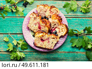 Homemade pie with berries. Delicious homemade cakes with black currants.Top view. Homemade black currant pie. Стоковое фото, агентство Ingram Publishing / Фотобанк Лори