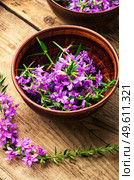 Ivan tea in a clay bowl. Blooming willow herb in herbal medicine.Russian tea. Healthful blooming sally. Стоковое фото, агентство Ingram Publishing / Фотобанк Лори