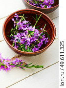 Ivan tea in a clay bowl. Blooming willow herb in herbal medicine.Russian tea. Healthful blooming sally. Стоковое фото, агентство Ingram Publishing / Фотобанк Лори