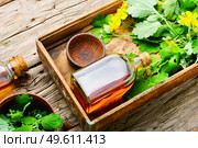 Healing tincture of celandine in a bottle.Alternative medicine.Medicinal plant celandine.. Medicinal tincture of celandine,herbal medicine. Стоковое фото, агентство Ingram Publishing / Фотобанк Лори
