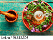 Teapot with medicinal wild herbal tea.Milk thistle or Silybum marianum in in herbal medicine. Thistle in herbal medicine,wooden table. Стоковое фото, агентство Ingram Publishing / Фотобанк Лори
