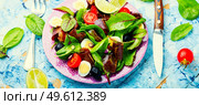 Fresh salad of Swiss chard, tomato, olives and meat.. Spring salad with herbs and jerky. Стоковое фото, агентство Ingram Publishing / Фотобанк Лори