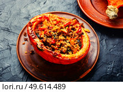 Pumpkin halves stuffed with minced meat,vegetables and quinoa.Autumn stewed pumpkin hokkaido. Roasted pumpkin with minced meat and quinoa. Стоковое фото, агентство Ingram Publishing / Фотобанк Лори