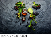 Bunches of fresh chokeberry.Aronia melanocarpa.Herbal medicine and homeopathy. Chokeberry berries in herbal medicine. Стоковое фото, агентство Ingram Publishing / Фотобанк Лори