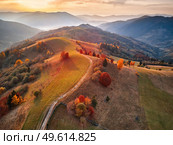 Beautiful mountain autumn landscape with meadow and colorful forest. Red, Yellow, Orange trees on hillsides. National Natural Park Synevyr, Carpathians, Ukraine, Europe. Стоковое фото, агентство Ingram Publishing / Фотобанк Лори