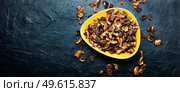 Dried edible mushrooms in a plate.Copy space. Forest dried mushrooms,long banner. Стоковое фото, агентство Ingram Publishing / Фотобанк Лори