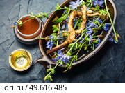 Chicory root and chicory flowers,weed. Wild plant in herbal medicine.Coffee substitute. Chicory in herbal medicine. Стоковое фото, агентство Ingram Publishing / Фотобанк Лори