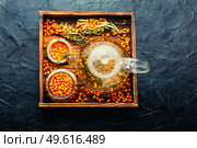 Healing tea with sea buckthorn. Delicious fresh tea from autumn berries.. Healing sea buckthorn tea. Стоковое фото, агентство Ingram Publishing / Фотобанк Лори