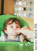 Baby eating food in her green highchair. Стоковое фото, агентство Ingram Publishing / Фотобанк Лори