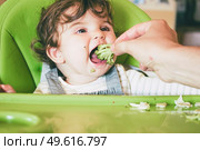 Baby eating food in her green highchair. Стоковое фото, агентство Ingram Publishing / Фотобанк Лори
