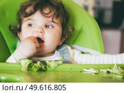 Baby eating food in her green highchair. Стоковое фото, агентство Ingram Publishing / Фотобанк Лори