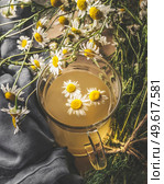 Close up of herbal tea with fresh chamomile in glass cup on kitchen table with dish towel. Front view. Стоковое фото, агентство Ingram Publishing / Фотобанк Лори
