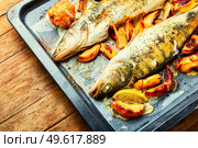 Pike perch baked with autumn fruits.Dietary product. Baked dietary fish with quince. Стоковое фото, агентство Ingram Publishing / Фотобанк Лори