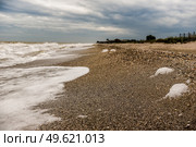 the coastline of seashells on a background of sea and blue sky. Стоковое фото, агентство Ingram Publishing / Фотобанк Лори
