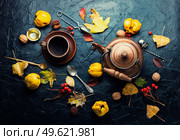Delicious homemade tea. Tea made from apples and quince on an autumn background.. Quince tea and autumn leaves. Стоковое фото, агентство Ingram Publishing / Фотобанк Лори