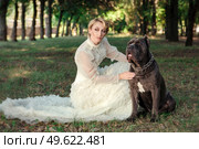 Girl in an old dress with ruffles and a big dark dog. Стоковое фото, агентство Ingram Publishing / Фотобанк Лори