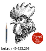 Hand drawn rooster head vector illustration. Sketch chicken portrait isolated on white background with pencil and label banner. Symbol of new year 2017. Стоковая иллюстрация, агентство Ingram Publishing / Фотобанк Лори