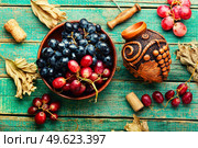 Young grape wine in a beautiful vessel.Beautiful wine flask. Stylish bottle of wine. Стоковое фото, агентство Ingram Publishing / Фотобанк Лори