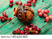 Young grape wine in a beautiful vessel.Beautiful wine bottle. Stylish barrel of wine. Стоковое фото, агентство Ingram Publishing / Фотобанк Лори