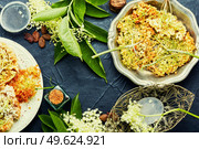 Fried elderflower in batter with powdered sugar. Spring flower dessert. Fried elderflower,seasonal food. Стоковое фото, агентство Ingram Publishing / Фотобанк Лори