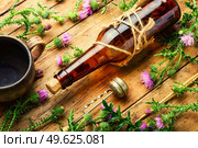 Bottle of healing herbal tincture.Milk thistle or Silybum marianum in in herbal medicine. Thistle in herbal medicine. Стоковое фото, агентство Ingram Publishing / Фотобанк Лори