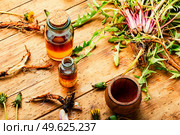 Healing herbs set, natural herbs medicine. Medicinal healing herbs. Healing herbs in herbal medicine. Стоковое фото, агентство Ingram Publishing / Фотобанк Лори