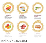 Healthy foods information poster with useful products, content of nutrients and vitamins flat vector illustration. Set of salmon fish, oatmeal, legumes and beans, fresh fruits, lean red meat, quinoa. Healthy foods information poster with useful products, content of nutrients and vitamins. Стоковая иллюстрация, агентство Ingram Publishing / Фотобанк Лори