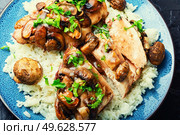 Chicken meat with mushroom sauce on a rice pad. Chicken breast with sicilian marsala sauce.. Meat in mushroom sauce. Стоковое фото, агентство Ingram Publishing / Фотобанк Лори