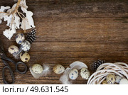 easter eggs, rabbits  and feathers on wooden table with copy space. easter eggs and feathers. Стоковое фото, агентство Ingram Publishing / Фотобанк Лори