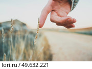 Man’s hand touching a fragile spike. Стоковое фото, агентство Ingram Publishing / Фотобанк Лори