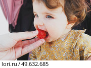 Little baby girl eating a strawberry. Стоковое фото, агентство Ingram Publishing / Фотобанк Лори