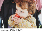 Little baby girl eating a strawberry. Стоковое фото, агентство Ingram Publishing / Фотобанк Лори