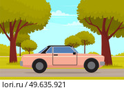 Car drive on an asphalt road in countryside against green forest with large trees. Country road summertime flat vector illustration. Car tourism, family auto trip, journey, automobile transport. Car drive on asphalt road in countryside against green forest with large trees. Car tourism, journey. Стоковая иллюстрация, агентство Ingram Publishing / Фотобанк Лори