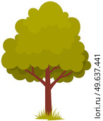 Alone deciduous tree with trunk and dense foliage. High plant with widely spread branches and green leaves. Broad-stemmed deciduous plant. Tree with green foliage isolated on white background. Deciduous tree with trunk and dense foliage. High plant with widely spread branches and green leaves. Стоковая иллюстрация, агентство Ingram Publishing / Фотобанк Лори