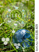 Glass globe with North America in fresh grass concept for environment. Glass globe in the grass. Стоковое фото, агентство Ingram Publishing / Фотобанк Лори