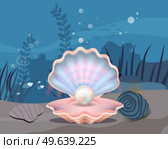 Underwater ocean fauna with fishes and seaweed. Ocean bottom with marine life reprsentatives. Marine underwater world vector illustration. Seafloor, undersea, seabed with huge shell and pearl. Seafloor, undersea, seabed with huge shell and pearl. Underwater ocean fauna, bottom of sea. Стоковая иллюстрация, агентство Ingram Publishing / Фотобанк Лори