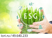 Ecology protection concept - hands holding green grass on green garden bokeh background. Ecology protection concept. Стоковое фото, агентство Ingram Publishing / Фотобанк Лори