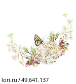 Beautiful watercolor wreath with hydrangea flowers. saskatoon berries. Illustrations.. Beautiful watercolor wreath with hydrangea flowers. saskatoon berries. . Стоковое фото, агентство Ingram Publishing / Фотобанк Лори