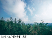 Tree tops in a misty forest with a beautiful view over the woods under a blue sky. Стоковое фото, агентство Ingram Publishing / Фотобанк Лори