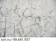 Background of an old wall with peeling paint in grey colors on worn concrete. Стоковое фото, агентство Ingram Publishing / Фотобанк Лори