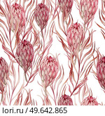 Watercolor wedding pink tropical seamless pattern with Exotic flowers protea and palm leaves. Illustration. Watercolor wedding pink tropical seamless pattern with Exotic flowers protea and palm leaves. . Стоковое фото, агентство Ingram Publishing / Фотобанк Лори