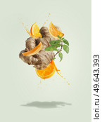 Flying ginger with orange slices and juice splashing at pale green background mint leaves. Ingredients for refreshing summer drinks. Creative levitation food and drink concept. Front view. Стоковое фото, агентство Ingram Publishing / Фотобанк Лори