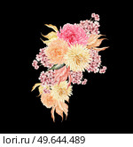 Watercolor autumn bouquet with chrysanthemum flowers, leaves. Illustration. Watercolor autumn bouquet with chrysanthemum flowers, leaves. . Стоковое фото, агентство Ingram Publishing / Фотобанк Лори
