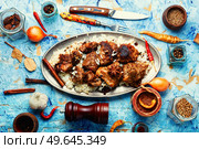 Vinegar marinated pork roast in Indian spices, vindaloo.. Pork vindaloo, a popular Indian dish. Стоковое фото, агентство Ingram Publishing / Фотобанк Лори