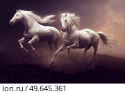 Two white horses galloping over dark background. White horse galloping. Стоковое фото, агентство Ingram Publishing / Фотобанк Лори